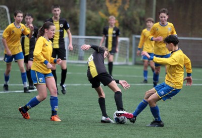 Vorden JO15-1 DZC 0-5